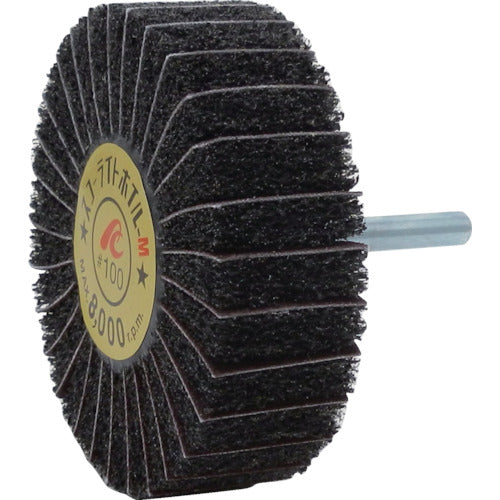 AC 스코어라이트 호일 M 축경 6mm #100 외경 80×폭 25×축 길이 40 SW8025-M-100 5개