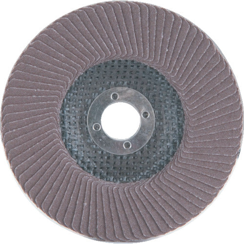 AC 테크노디스크·A(S타입) 외경×홀 직경: 100×15mm 입도(#) 120 TDS10015-A-120 5매