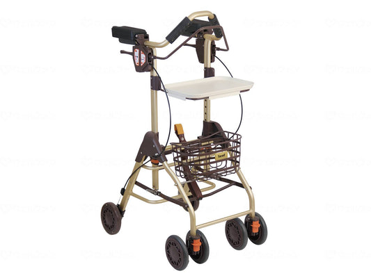 幸和製作所ﾃｲｺﾌﾞﾘﾄﾙﾎｰﾑF ﾌﾞﾗｳﾝ