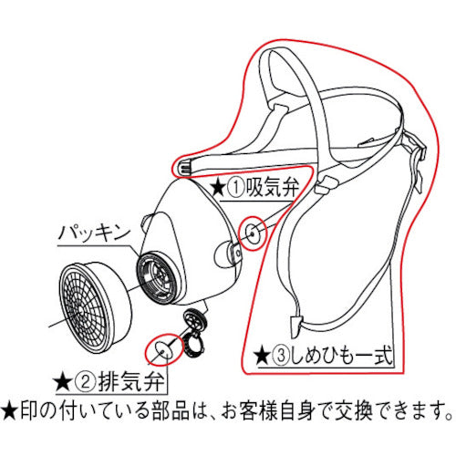 シゲマツ　しめひもＤＨＨＡ７７０３　DHHA7703　1 個