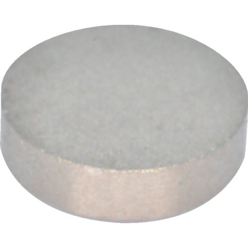 MAGNA Samarium Cobalt Magnet, Round (5 pieces) 2-10123 1 bag
