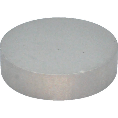 MAGNA Samarium Cobalt Magnet, Round (1 piece) 2-10205 1 bag