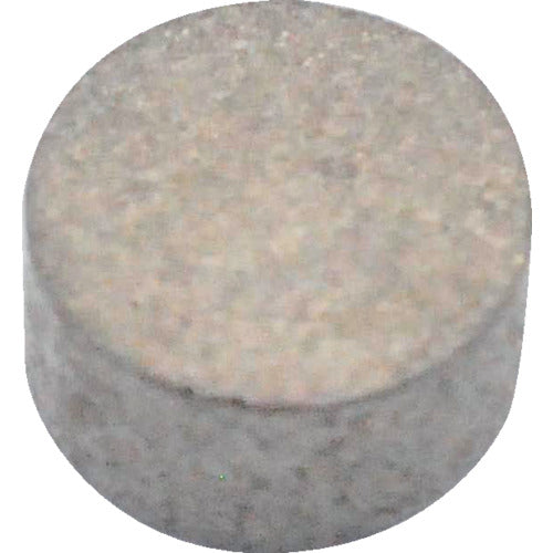 MAGNA Samarium Cobalt Magnet, Round (10 pieces) 2-10315 1 bag