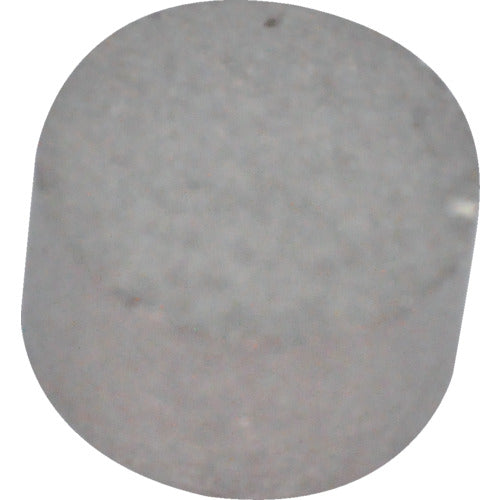 MAGNA Samarium Cobalt Magnet, Round (10 pieces) 2-1053 1 bag