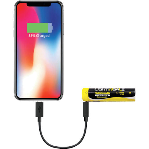 ライティンゲイル　スマホにも給電できるリチウムイオン充電池２６００ｍＡ／ＵＳＢ−ＴＹＰＥ−Ｃ／１８６５０タイプ　LTG0002　1 PK