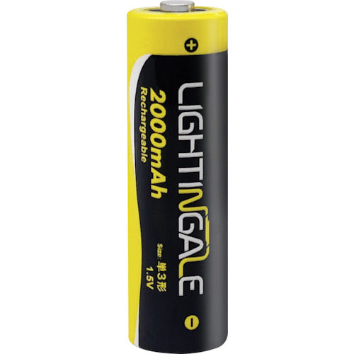 라이틴 게일 단 3형 리튬 이온 충전지【2개 세트】마이크로 USB LTG0004 1 PK