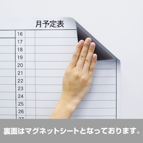 마그엑스 마그넷 스케줄 보드 시트 월간 4050 MSVP-4560M 1장