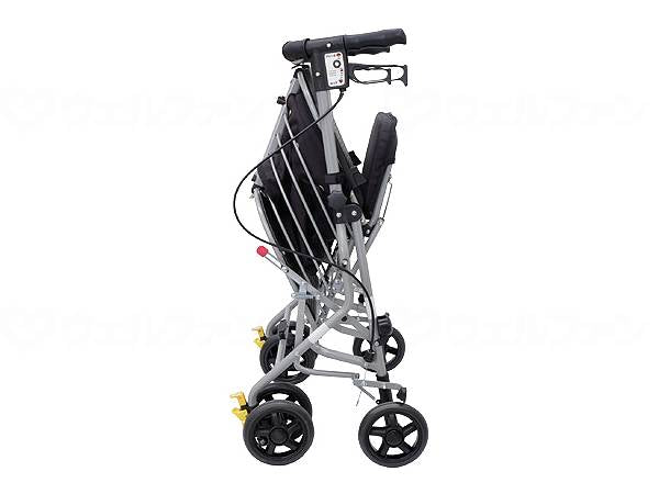 섬 제작소 샴페인 버스 버스트 SP 클래식 케이던 NB