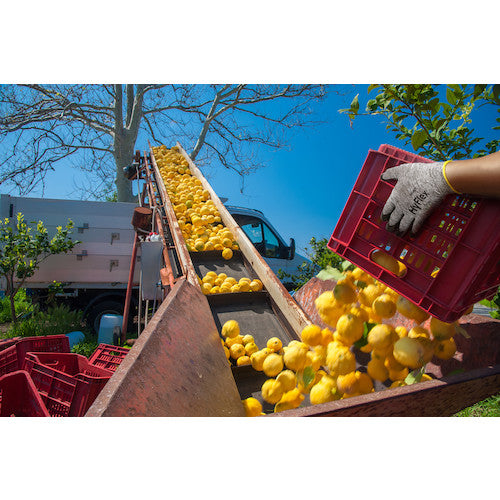 アンセル　軽作業用手袋　ハイフレックス　１１−８０１　Ｓサイズ　11-801-7　1 双