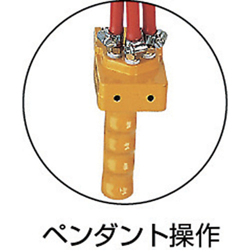 ENDO 에어 호이스트 AT-60K 60kg 3m AT-60K 1대