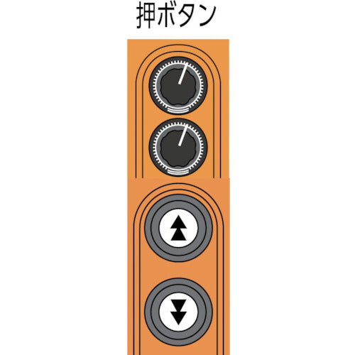 ＫＩＴＯ　電気チェーンブロック　キトーセレクト　２速選択形　６０ｋｇ×３ｍ　ED06SD　1 台