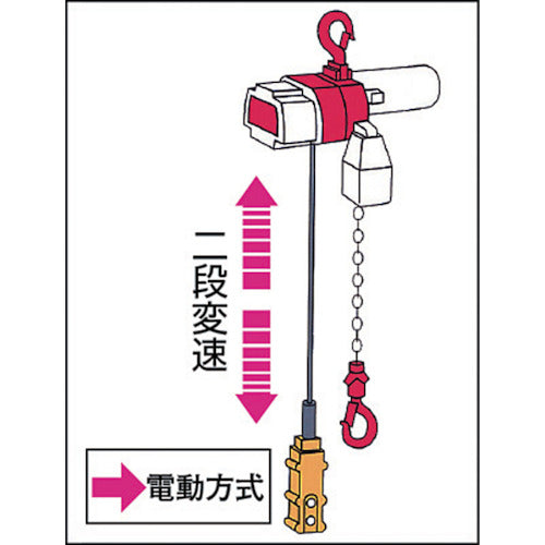 ＫＩＴＯ　電気チェーンブロック　キトーセレクト　２速選択形　１００ｋｇ×３ｍ　ED10SD　1 台