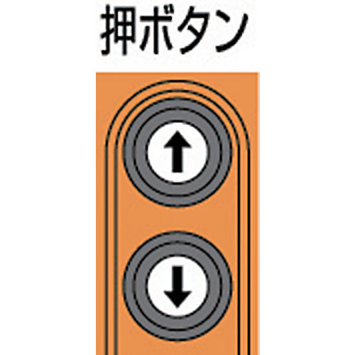 ＫＩＴＯ　電気チェーンブロック　キトーセレクト　１速形　単相２００Ｖ　２４０ｋｇ×３ｍ　EDX24S　1 台