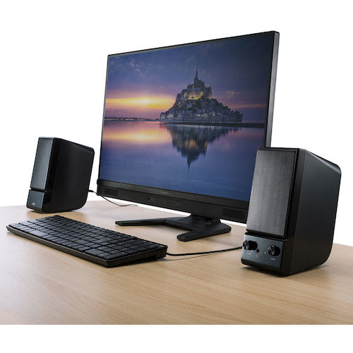 SANWA 멀티미디어 스피커 MM-SPL14BKN 1개