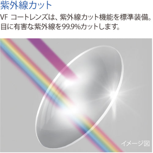 Riken Anti-fog Goggles (Closed type, wide view type) M31BVF 1 piece