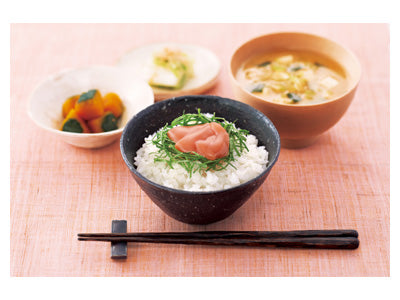 ジャネフ　ごはんにあうソース　明太風味 / 032880　10g×40袋　1 小箱