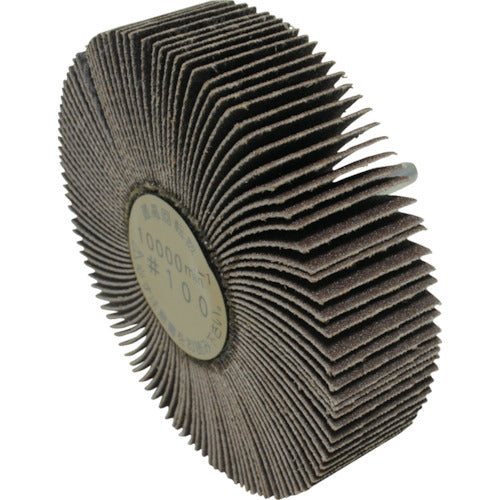 Yanase Axle-mounted flap wheel 100x25x6 #100 UF100256 5 pieces