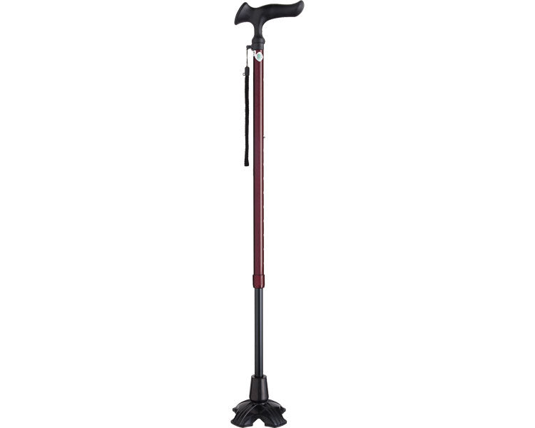 카루가모 E4점 DX / WB3776 레드 1개