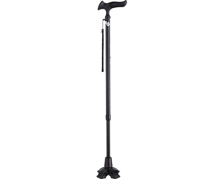 Karugamo E4-point DX / WB3778 Black 1 piece