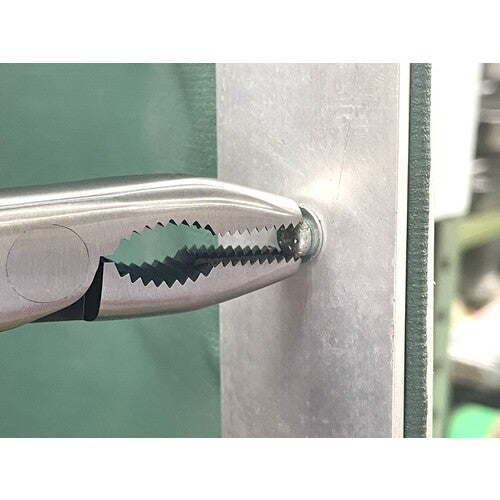 메리 나사 ZA185 ZA185 1 丁