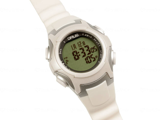 인텍 GRUS 워킹 전파 에코 챠비토