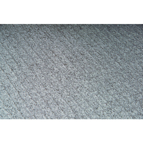 테라모토 논 슬립 플랫 매트 300 투 MR-153-673-5 1 장