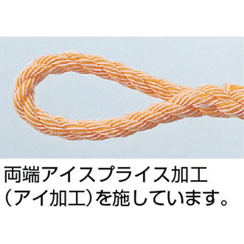 TRUSCO PV Truck Rope, 3-strand, Wire diameter 9mm x Length 10m, TR-910PV, 1 roll
