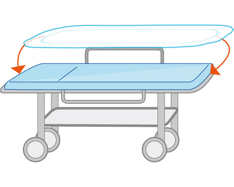 Ferlac Stretcher Cover / 076971 Water Absorbent/Waterproof Type 20 Sheets 1 Box