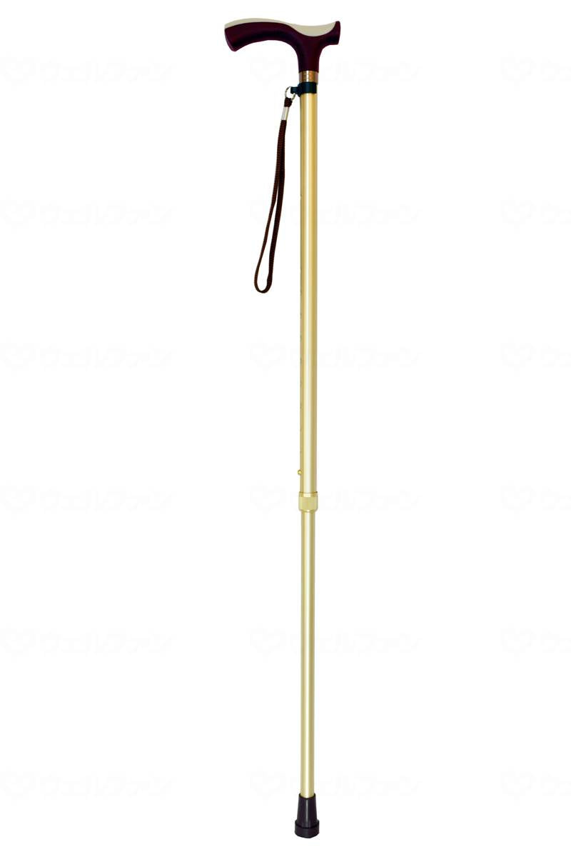 Max Factory Floyd Decal Stick, 10-step adjustable telescopic stick, Champagne Gold
