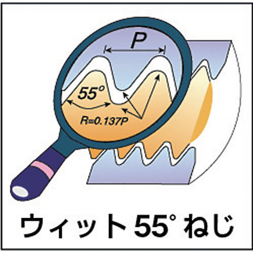 ＮＯＧＡ　ミルスレッド　ウィット用チップ　21-19W MT-7　1 個