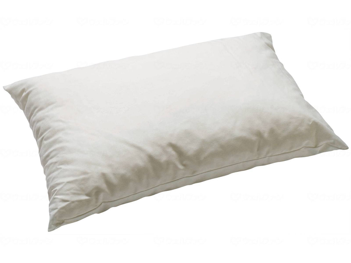 ケープﾛﾝﾎﾞ ﾎﾟｼﾞｼｮﾆﾝｸﾞｸｯｼｮﾝ ＲＦ１ 40×60cm