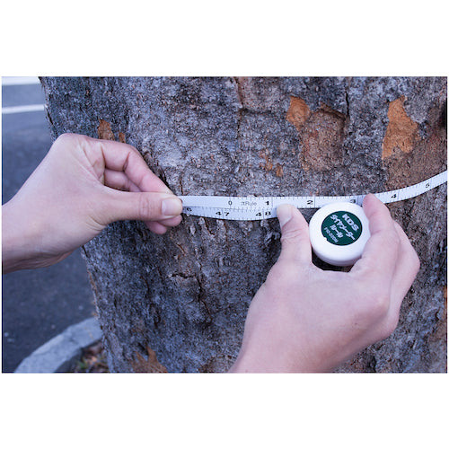 ＫＤＳ　ダイヤメータールール１０・２Ｐ　F10-02DMP　1 個