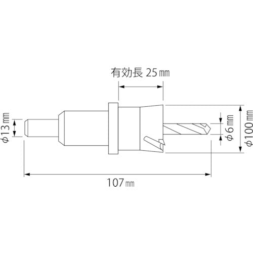 エビ　超硬ホルソー（チタンコーティング）　１００ｍｍ　HO100G　1 本