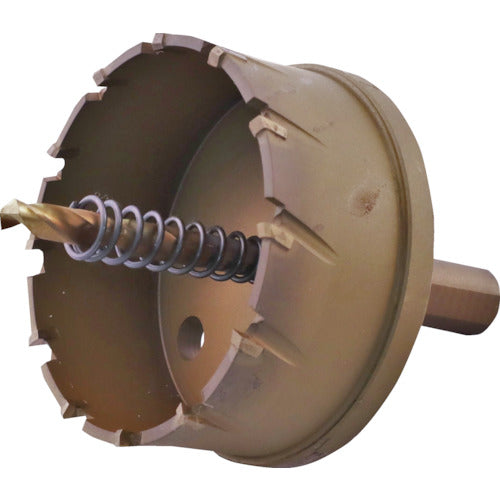 EBI Carbide Hole Saw (Titanium Coated) 75mm HO75G 1 piece