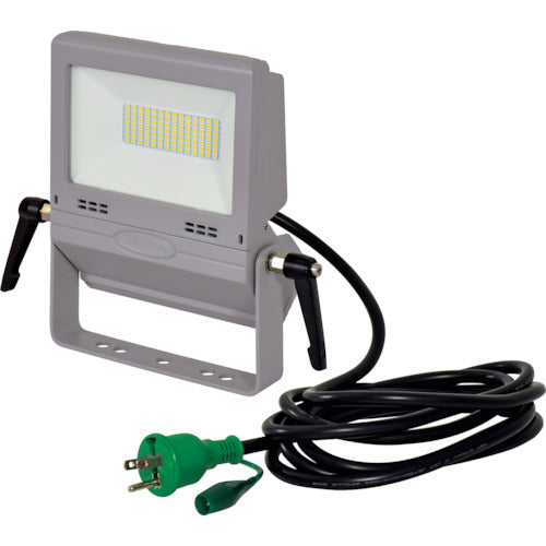 NICHIDO LED 투광기 작업용 플랫 라이트 30W LEN-FH30D-SL-50K 1대