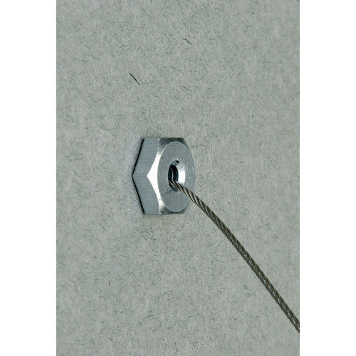 日栄インテック　吊り金具用ワイヤ　ＴＢワイヤー２．５Ｍ　（２本入）　N-200303025　1 袋