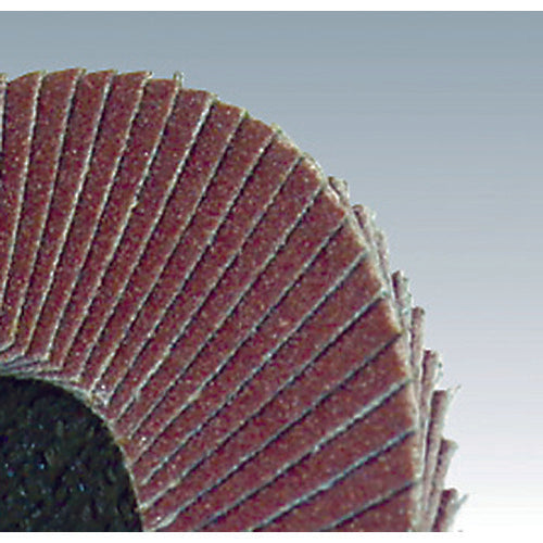 Yanase Spark Disc 100X15 A80 (1 box (PK) = 10 pieces) SPA5-10 1 box