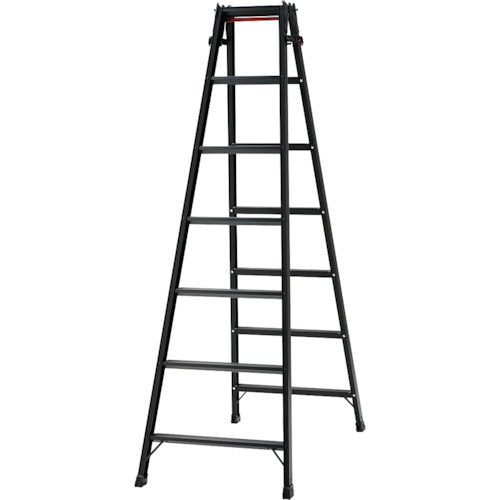 ハセガワ　ハシゴ兼用脚立（ブラックレーベル）ＲＨＢ−２１（１００５）　RHB-21　1 台