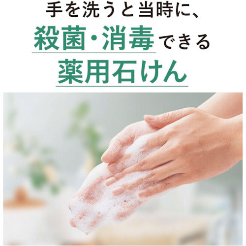 Saraya [Sold out and discontinued] [Limited stock special price] Hand washing soap liquid Savonette soap liquid Yu-Mu 5kg BIB 23216 1 unit