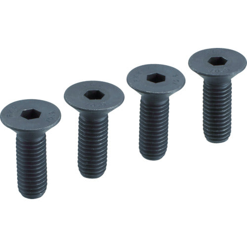 TRUSCO Upright Vise (Heavy Duty) SRV-200 Base Fixing Screw (1 Set of 4) SRV200N002 1 Set