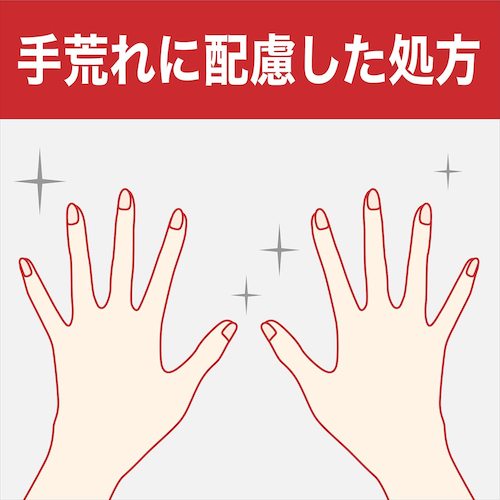 Johnson [Sold out and discontinued] Family Guard Alcohol Hand Sanitizer 1L 333438 1 bottle