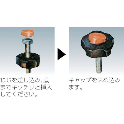 コノエ　ノブスターＡ形　黒−オレンジ　Ｍ１０（１０個入）　A-M10　1 袋