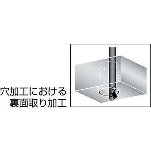 富士元　ウラトリメン−Ｃ　Ｍ１２　UMH12-10S-M12　1 本