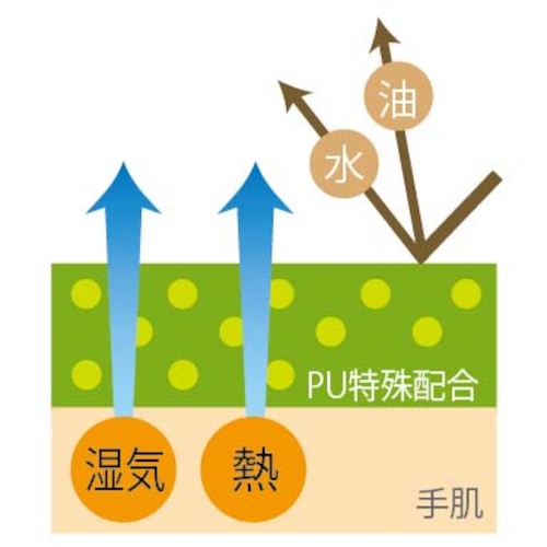 SHOWA Cleanroom Gloves E0110 Nanoteclean AC (Clean Pack) 10 pairs S size E0110-S 1 bag