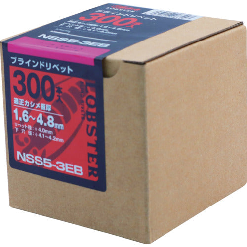 エビ　ブラインドリベット（ステンレス／スティール製）　５−３（３００本入）　エコＢＯＸ　NSS 53EB　1 箱