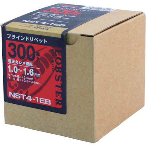 エビ　ブラインドリベット（ステンレス／ステンレス製）　４−１（３００本入）　エコＢＯＸ　NST41EB　1 箱