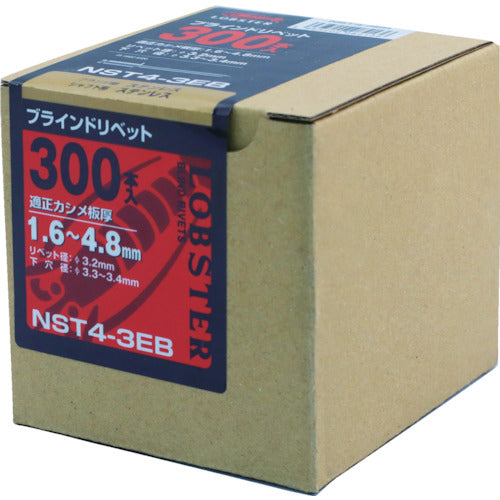 エビ　ブラインドリベット（ステンレス／ステンレス製）　４−３（３００本入）　エコＢＯＸ　NST43EB　1 箱