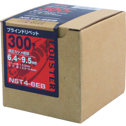 エビ　ブラインドリベット（ステンレス／ステンレス製）　４−６（３００本入）　エコＢＯＸ　NST46EB　1 箱