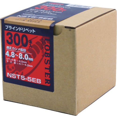 エビ　ブラインドリベット（ステンレス／ステンレス製）　５−５（３００本入）　エコＢＯＸ　NST55EB　1 箱