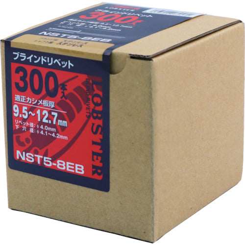 エビ　ブラインドリベット（ステンレス／ステンレス製）　５−８（３００本入）　エコＢＯＸ　NST58EB　1 箱